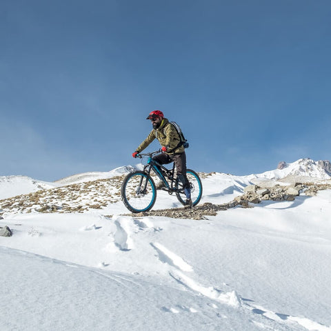Specialized