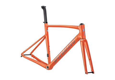 Specialized allez sprint frmset gloss cactus bloom/holographic foil 49