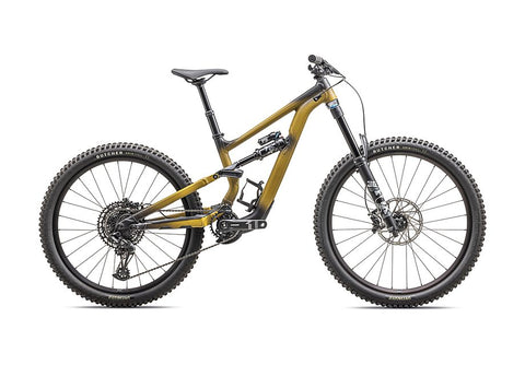Specialized 2025 status 170 2 zero