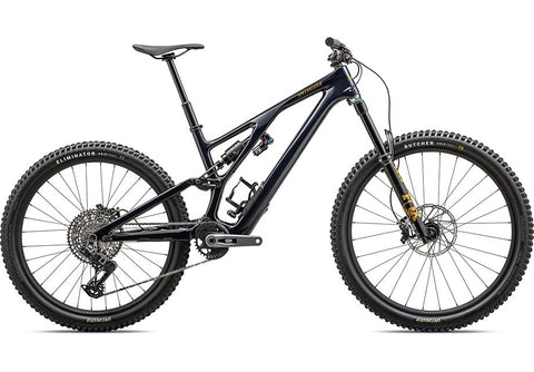 Specialized 2024 stumpjumper evo expert