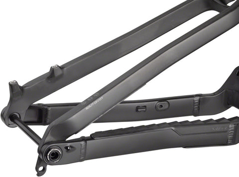 Salsa Cassidy Carbon Frame - Carbon Raw Medium