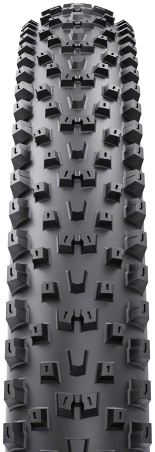 WTB Peacekeeper Tire - 29 x 2.4 TCS Tubeless Folding BLK Light/Fast Rolling TriTec SG
